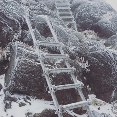 山頂付近