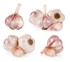 garlic collection isolated