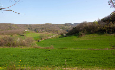 The landscapes of the National Park Fruska Gora, Serbia