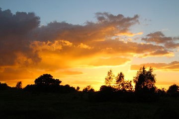 Last sunbeams before sunset in summertime
