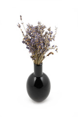 Scented lavender bunch in a black vase, isolated on white background