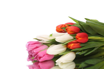 Fresh bouquet of tulips