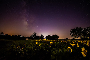 Obraz na płótnie Canvas The Milky Way and other stars over Grinter's Farm - Lawrence, KS