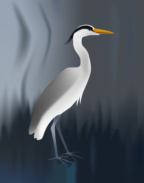 Vector illustration of grey heron on blurred background. Standing light bird.