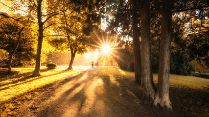 Fototapeta na wymiar Warme Sonnenstrahlen im Park Wernigerode, Herbst