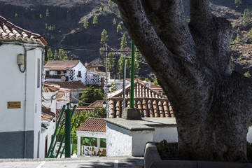 Gran Canaria  Fataga