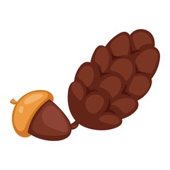 Dried acorns flat vector illustration.