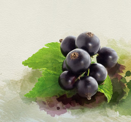 Watercolor black currant collage.