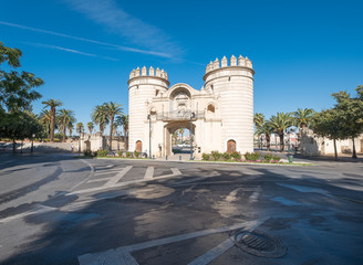 Fototapeta na wymiar Puerta de Palmas