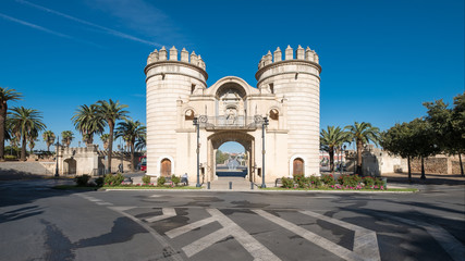 Fototapeta na wymiar Puerta de Palmas