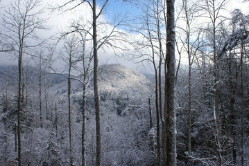 Fototapeta na wymiar North arolina after fresh snow storm