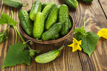 Organic fresh cucumbers