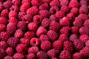 Ripe raspberry background