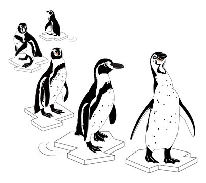 Penguin on outline ice. Vector Illustration black and white, isolated on white background.