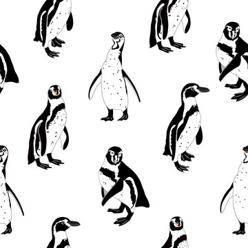 Black and white penguins. Seamless pattern, isolated on white background