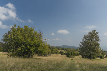 Fototapeta na wymiar Slovakia karst in summer hot day
