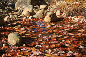 Upclose Lake