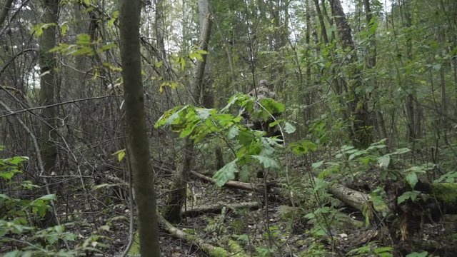 Soldier with a gun in his hand goes through the forest