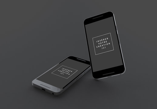 Maquette double compatible Nexus&nbsp;5x