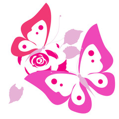 color butterflies,isolated on a white