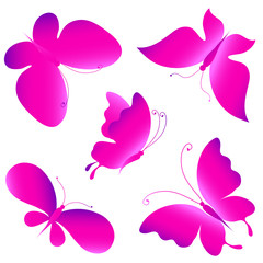 color butterflies,isolated on a white