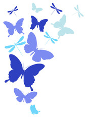 color butterflies,isolated on a white