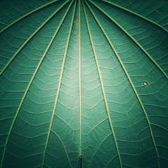 Background in abstract 