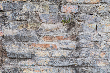 old wall