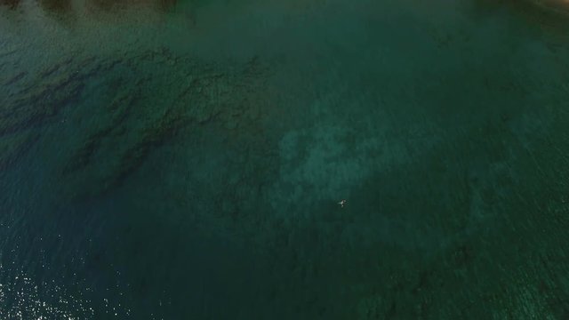 Aerial View of the Tropical Coast with Dense Forest and the Bay with the Blue Water. Sunny Day, Shot in 4K UHD