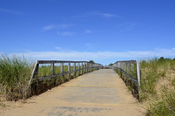 Boardwalk trail to the beach and waterfront that will protect the local vegetation from damage