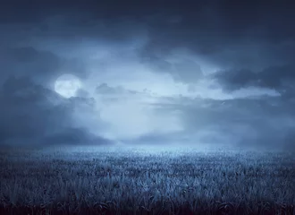 Voilages Campagne Le brouillard entoure la prairie la nuit