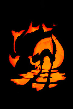 Scaredy-Cat Pumpkin