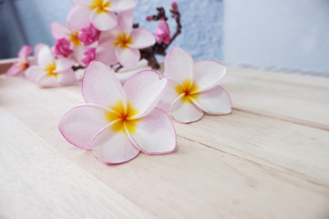 Obraz na płótnie Canvas Frangipani flower decorated on wooden floor 