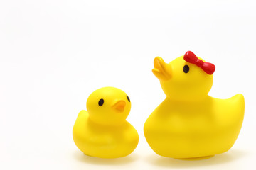 アヒルのおもちゃ　白背景