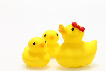 アヒルのおもちゃ　白背景