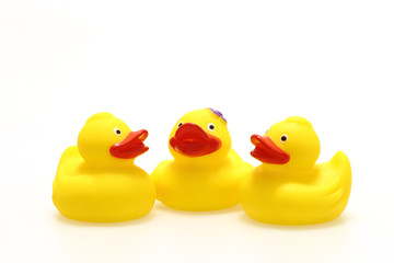 アヒルのおもちゃ　白背景