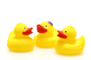 アヒルのおもちゃ　白背景