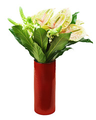 Bouquet from anturiums in red vase isolated on white background. 