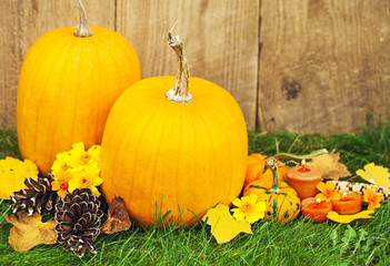 Autumn pumpking thankgiving decoration card