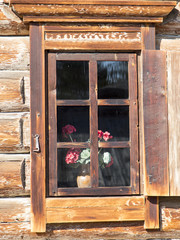 flowers in the cabin,russian federation