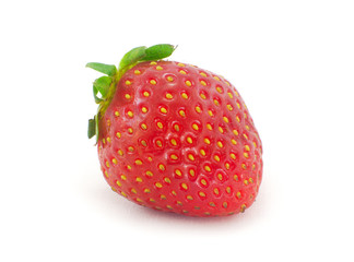 one red strawberry on white background studio shot
