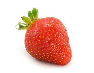 one red strawberry on white background studio shot
