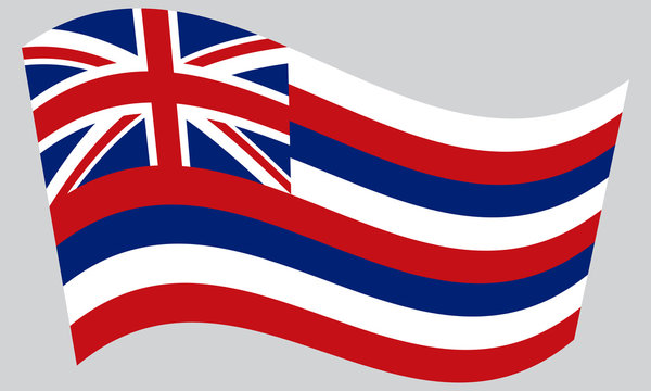 Flag of Hawaii waving on gray background