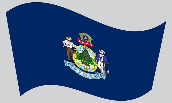Flag of Maine waving on gray background