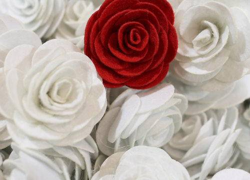 red rose and many small white roses hand-made