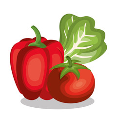 set nutritive food isolated icons vector illustration design