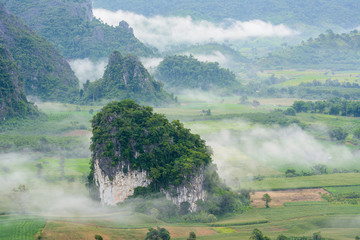 Fototapeta premium Landscpae view of Pu langka (lang ka mountain) with mist in morn