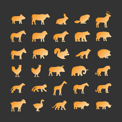 Gold silhouettes of animals on black background.