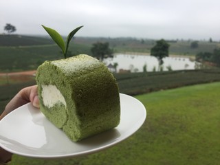 Jam roll green tea in tea farm.