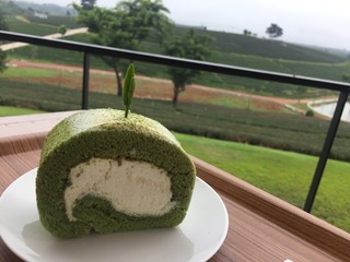 Jam roll green tea in tea farm.